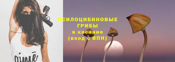 МДПВ Нефтегорск