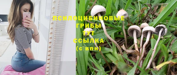 мяу мяу кристалл Нефтекумск