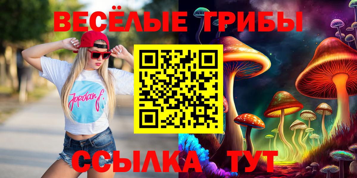 Галлюциногенные грибы MAGIC MUSHROOMS Азнакаево