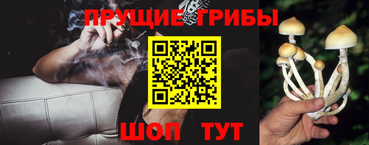 Азнакаево  Псилоцибиновые грибы прущие грибы  наркотики  Вход с VPN 