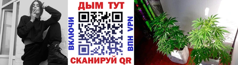 МЕГА как войти даркнет сайт Азнакаево Марихуана планчик