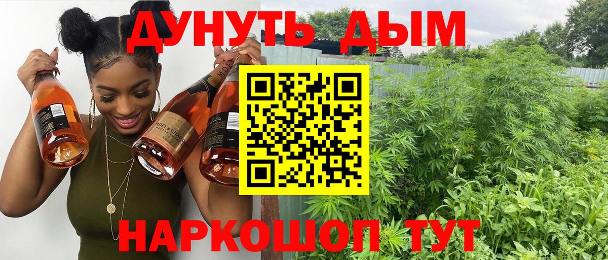 Каннабис MAZAR Азнакаево